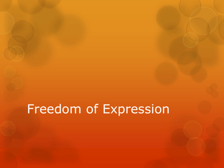 Define Freedom Of Expression Class 11