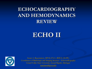 Echo-Hemo Review