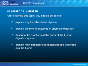 Lesson notes - GCSE Biology