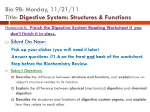Digestion Powerpoint Notes (9B)