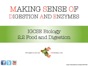 Chapter 4: Food and Digestion - Help for MYP 4 and 5 Students