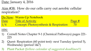 PowerPoint- How do our cells carry out aerobic cellular respiration?