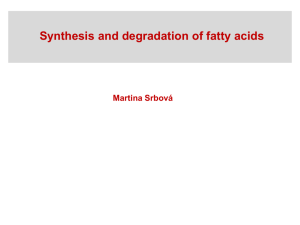 Synthesis and degradation of fatty acids
