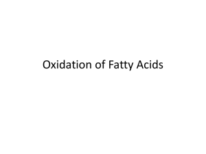 Oxidation of Fatty Acids