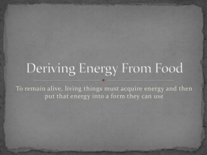 Deriving Energy From Food