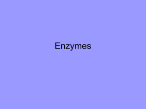A7-Enzymes