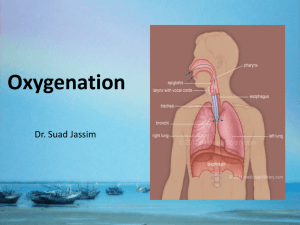 Factors affecting respiratory function