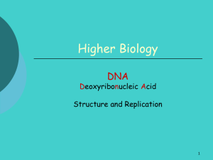 dna-structure-replication