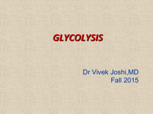 Lecture 5 Glycolysis Fall 2015