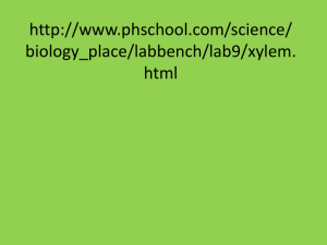 http://www.phschool.com/science/biology_place