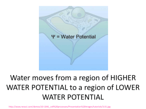 water potential - local.brookings.k12.sd.us