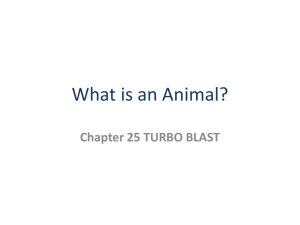 What is an Animal? - Tanque Verde Unified School District