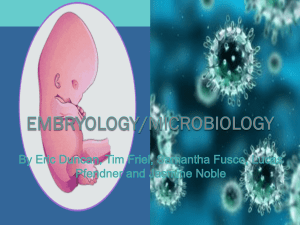 Embryo and Micro Student Review