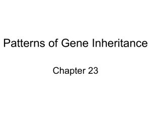 Patterns of Gene Inheritance
