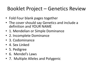 Booklet Project 1 – Genetics Review