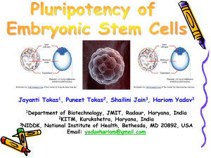 Pluripotency of Embryonic Stem Cells