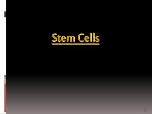 Stem Cells - Bakersfield College