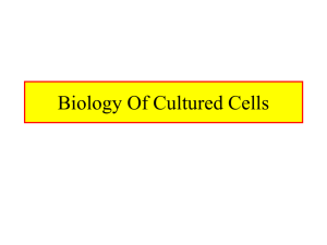 Biology Of Cultured Cells Chpt. 3