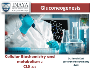 3. gluconeogenesis - INAYA Medical College