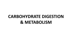 CARBOHYDRATE METABOLISM-1