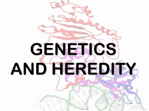 Genetics-web4 - WordPress.com