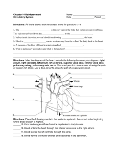 Chapter 14 Reinforcement Name Circulatory System Date Period