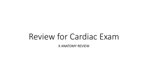 Review for Cardiac Exam
