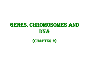 Genes, Chromosomes and DNA