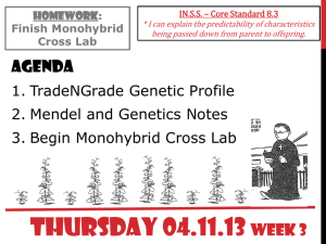 Notes: Mendelian Genetics