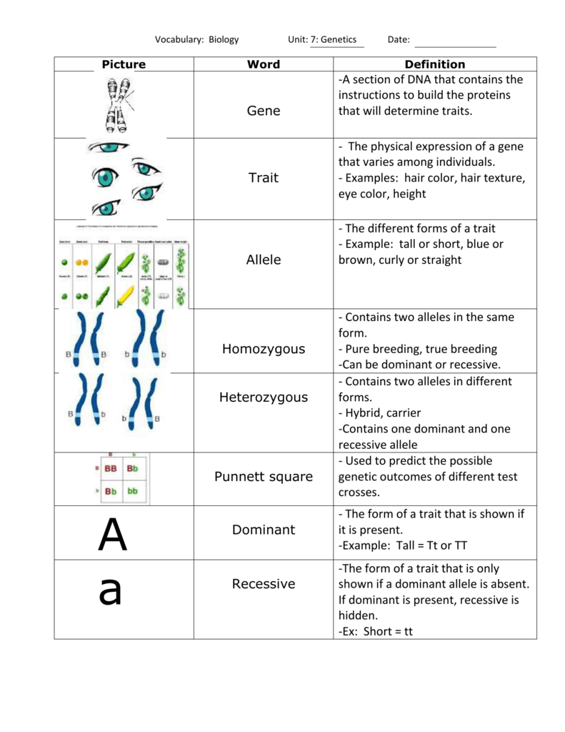 trait biology example