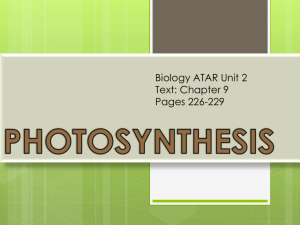 Photosynthesis - Our eclass community