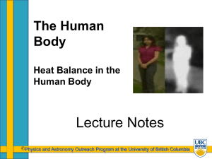 The Human Body Heat Balance in the Human Body