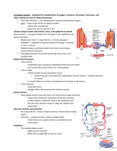 Circulatory System – designed for transportation of oxygen, nutrients