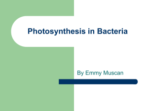 Photosynthesis in Bacteria