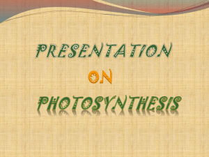 Photosynthesis - Govt College Ropar