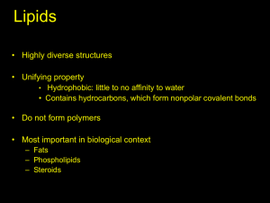 Lipids Structure and Function