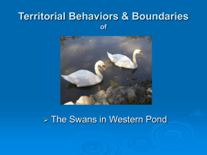 PowerPoint Presentation - Territorial Behaviors