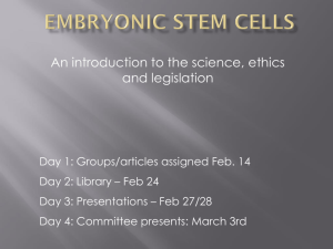 stem cells project overview