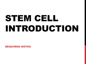 Stem Cell Introduction