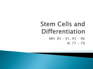 Stem Cells and Differentiation