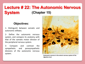 Lecture # 22: The Autonomic Nervous System