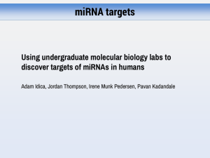 Supplemental File S7. miRNAs in Humans