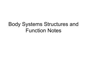Body Systems Structure and Function Quiz Answers