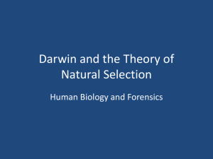Darwin and the Theory of Natural Selection