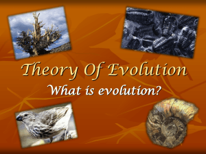 Theories of evolution - Liceo Statale Cagnazzi