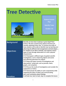 Tree Detective