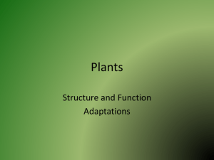 Plants - PBworks