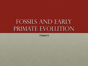 Fossils and their place in time and nature