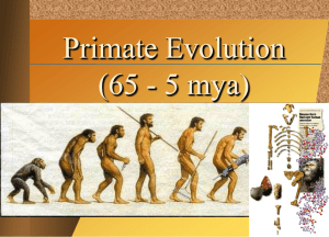 Lecture 35 Primate & Human Evolution - NGHS
