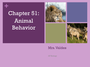 Ch. 51 Animal Behavior